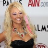 avn-awards_3470