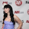 avn-awards_3488