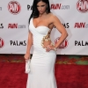 avn-awards_3570