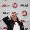 avn-awards_3581