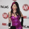 avn-awards_3662