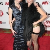 avn-awards_3669