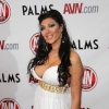 avn-awards_3687