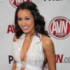 avn-awards_3728