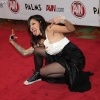 avn-awards_3824