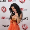 avn-awards_3871