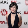 avn-awards_3882