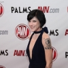 avn-awards_3884