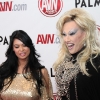 avn-awards_3962