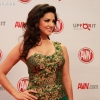 avnredcarpet_6556