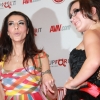 avnredcarpet_7011