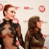 avnredcarpet_7100