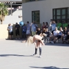 naked-dodgeball_0866